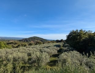 La vue du plateau